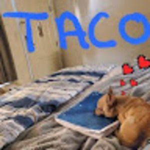 Meet your Posher, Sherry